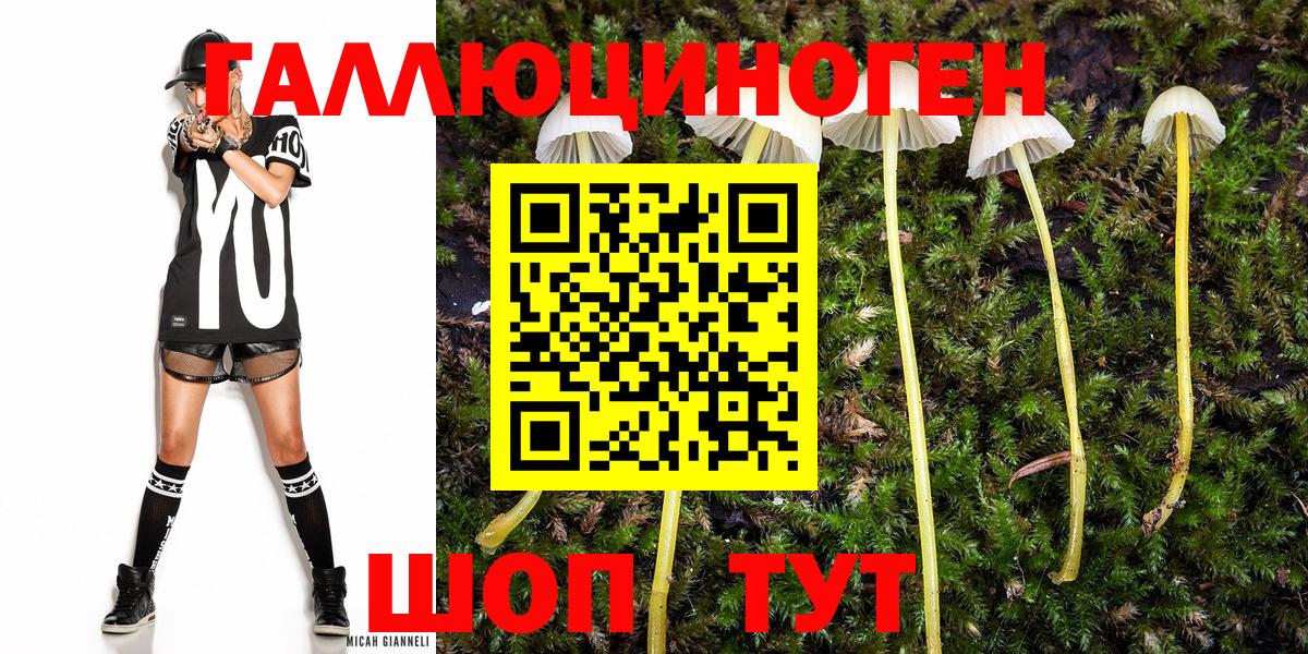 Галлюциногенные грибы Magic Shrooms Саяногорск