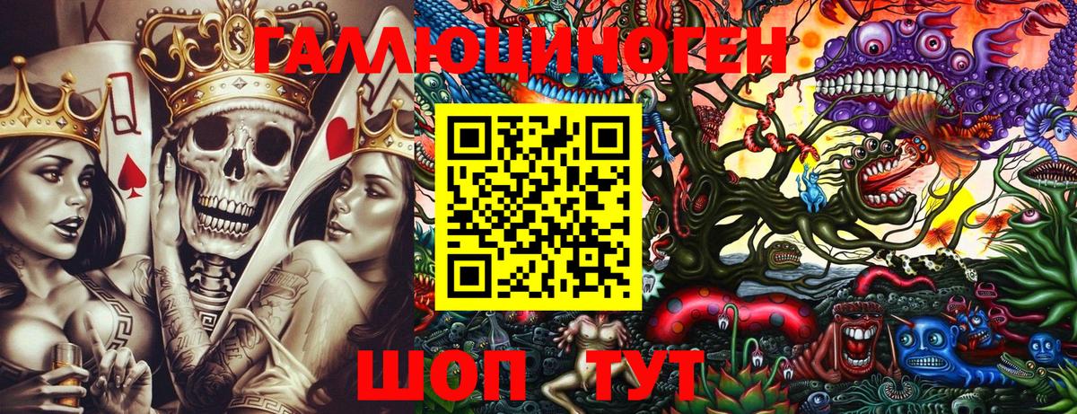 где продают наркотики  Вход с VPN  Саяногорск  Галлюциногенные грибы Psilocybine cubensis 